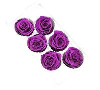 Kueohse 6PCS Preserved Life Flower 5-6cm Rose Head Wedding Party Decoration Lover Mother'S Day DIY Handmade Gift Flowers Easy Install Easy to Use,D