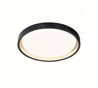 KUEYANB Ultra-Thin Minimalist Ceiling Lamp, Nordic Modern Living Room Main Light, Round Bedroom Study Flat Ceiling Lighting, Metal Hallway Close to Ceiling Light Fixture, for Kitchen Island, Hallway