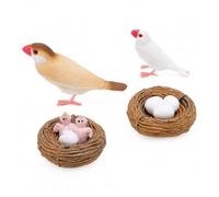 KUIDAMOS Educational Bird Life Cycle Figures Realistic Animal Growth Toys for Kids, PVC Model Set for Early Childhood Education