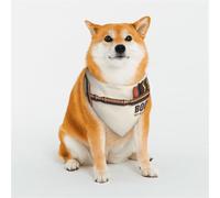 Kuilepa Books Key to Knowledge Print Dog Bandana Birthday Gift Washable Bandana Scarf for Small to Large Dog Puppy Cat-Large