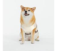 Kuilepa Books Key to Knowledge Print Dog Sweater Pullover Cold Weather Vest for Dogs Dog Sweatshirt Dog Jacket for Indoor and Outdoor Use