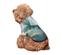 Kuilepa Cloud Sky Green Dragon Print Dog Hoodie Security Dog Sweater Dog Clothes Dog Hoodie Sweatshirt for Small Medium Large Dogs (Xs-XXL)