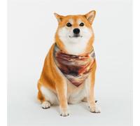 Kuilepa Cute Cloud Pomeranian Print Dog Bandana Birthday Gift Washable Bandana Scarf for Small to Large Dog Puppy Cat-Medium