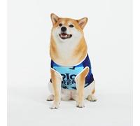 Kuilepa Halloween Trick Or Treat Print Dog Sweater Pullover Cold Weather Vest for Dogs Dog Sweatshirt Dog Jacket for Indoor and Outdoor Use