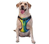 Kuilepa No Pull Dog Harness Adjustable Reflective Oxford Easy Control Medium Large Dog Harness,Large,Rainbow Colored