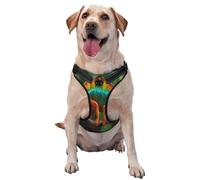Kuilepa No Pull Dog Harness Adjustable Reflective Oxford Easy Control Medium Large Dog Harness,Large,Chameleon