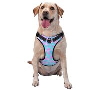 Kuilepa No Pull Dog Harness Adjustable Reflective Oxford Easy Control Medium Large Dog Harness,Large,Purple Dragon Scales