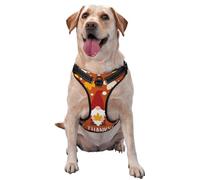 Kuilepa No Pull Dog Harness Adjustable Reflective Oxford Easy Control Medium Large Dog Harness,Large,Happy Thanksgiving Three Gnomes