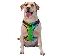 Kuilepa No Pull Dog Harness Adjustable Reflective Oxford Easy Control Medium Large Dog Harness,Large,Glitter Rainbow