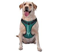 Kuilepa No Pull Dog Harness Adjustable Reflective Oxford Easy Control Medium Large Dog Harness,Large,ECG Wave