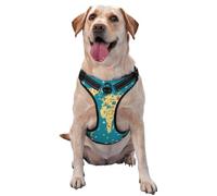 Kuilepa No Pull Dog Harness Adjustable Reflective Oxford Easy Control Medium Large Dog Harness,Large,World Map with Landmarks