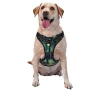 Kuilepa No Pull Dog Harness Adjustable Reflective Oxford Easy Control Medium Large Dog Harness,Medium,Mystical Black Cat Fireflies