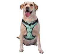 Kuilepa No Pull Dog Harness Adjustable Reflective Oxford Easy Control Medium Large Dog Harness,Small,Not All Those Who Wander are Lost1