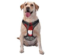 Kuilepa No Pull Dog Harness Adjustable Reflective Oxford Easy Control Medium Large Dog Harness,Small,Chillin with My Gonme
