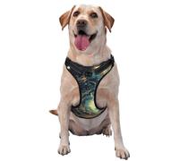 Kuilepa No Pull Dog Harness Adjustable Reflective Oxford Easy Control Medium Large Dog Harness,Small,Enchanted Forest Skull Path