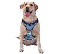 Kuilepa No Pull Dog Harness Adjustable Reflective Oxford Easy Control Medium Large Dog Harness,X-Large,Lighthouse in Havana