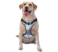 Kuilepa No Pull Dog Harness Adjustable Reflective Oxford Easy Control Medium Large Dog Harness,X-Large,Not All Who Wander are Lost2