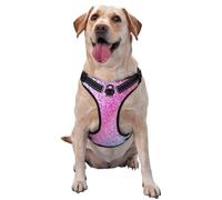 Kuilepa No Pull Dog Harness Adjustable Reflective Oxford Easy Control Medium Large Dog Harness,X-Large,Fun Rainbow