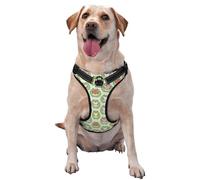 Kuilepa No Pull Dog Harness Adjustable Reflective Oxford Easy Control Medium Large Dog Harness,X-Large,Cute Chubby Frog