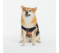 Kuilepa Ocean Scene with Noah's Ark Print Dog Sweater Pullover Cold Weather Vest for Dogs Dog Sweatshirt Dog Jacket for Indoor and Outdoor Use