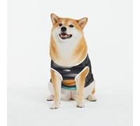 Kuilepa Solar System Paper Art Print Dog Sweater Pullover Cold Weather Vest for Dogs Dog Sweatshirt Dog Jacket for Indoor and Outdoor Use