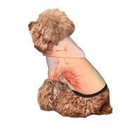 Kuilepa The Sunset of Dandelion Print Dog Hoodie Security Dog Sweater Dog Clothes Dog Hoodie Sweatshirt for Small Medium Large Dogs (Xs-XXL)