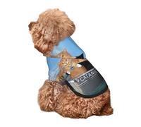 Kuilepa Two Brave Cats are Floating On The Sea Iceberg Print Dog Hoodie Security Dog Sweater Dog Clothes Dog Hoodie Sweatshirt for Small Medium Large Dogs (Xs-XXL)