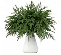 KUKKUME 36 Pcs Christmas Norfolk Pine Branches 14" Artificial Norfolk Pine Stems Faux Christmas Greenery Fake Xmas Foliage for Vase Fillers Garland Wreath DIY and Home Decor