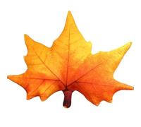 KUKUShining Leaf Plush Pillow, Soft Stuffed Throw Pillows Maple Shaped Decorative Cushion Plant Plushie Toy for Room Garden Ornament(Orange)