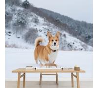 Kuletkear Wall Mural Corgi Wallpaper Wall Decals Dog Snow Natural Landscape Self-Adhesive Large Poster Paper for Living Room Bedroom Kids Room Motif 200x140cm