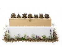 KULIA Platonic Solids Stones of 7 Pcs with Sacred Geometry Crystal Set Wooden Box Hand Carved Decoative Storage Case Feng Shui Smoky Quartz Platonic Natural Stone Crystal Lucky Charms Reiki Gifts