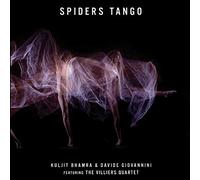 Kuljit Bhamra & Davide Giovannini - Spiders Tango - Captivating and Seductive Soundscapes