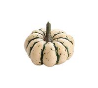 KULSUM Artificial Pumpkins Set Autumn Decoration, Halloween Pumpkin Bulk Natural Pinecones Silk Maple Leaves Artificial Fruits Mini Acorns for Home Garden Party Thanksgiving Decor (White)