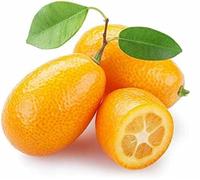 Kumquat X10 - Exotic fruit - Fresh from Spain