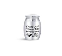 KunBead Jewelry Angel Cat Love Heart Small Cremation Urns for Human Pet Ashes Adult Holder Urn Mini Keepsake Decorative Memorial