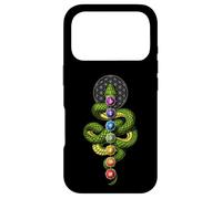 Kundalini Yoga Chakras Zen Meditation Sacred Geometry Case for iPhone 17 Pro