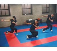 Kung Fu: Building a White Crane Routine