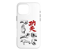 Kung Fu Fist Hand Strike Shaolin Chinese Martial Arts Case for iPhone 16 Pro Max
