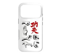 Kung Fu Fist Hand Strike Shaolin Chinese Martial Arts Case for iPhone 17 Pro