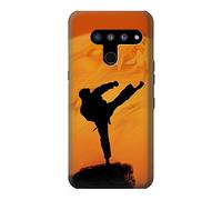 Kung Fu Karate Fighter Case Cover For LG V50, LG V50 ThinQ 5G