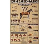 Kung Fu Knowledge Metal Plaque - 8x12 Inch | Wing Chun Anatomy Poster | Educational Decor for Martial Arts Clubs, Schools & Bedrooms