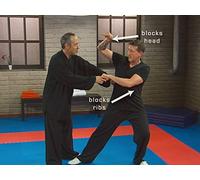 Kung Fu: Longer Range with Praying Mantis