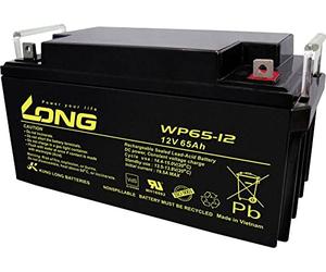 Kung LONG WP65-12 12V 65Ah Lead AGM Battery
