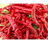 Kung Pao Chilli Seeds - 20 Fresh Seeds