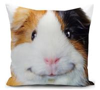 KUNQIAN Guinea Pig Cushion Cover Pillow Cover Guinea Pig Decorations Gifts for Women Ornaments Accessories Decor Home Livingroom Couch Sofa 18"x18"(45x45cm)