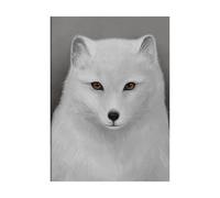Kunskapstavlan® Arctic fox poster 30x40 cm