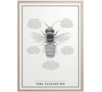 Kunskapstavlan® - Våra Älskade Bin Poster 50x70 cm - Black and White