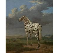 Kunstdruck The Piebald Horse Paulus Potter Horses Breeds Animals Stained Clouds B A3 00023