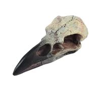 Kuntesetty Halloween Raven Skull Decor Raven Skull Statue Resin Bird Skull Pendant for Office, 60mmx28mmx22.5mm