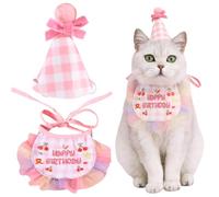 Kunyeah 2Pcs Pet Happy Birthday Hat Scarf Set Cute Embroidered Cat Bandana Outfit Pet Bowknot Cone Hat Cat Plaid Pattern Princess Costumes Dog Lace Bib Pet Party Supplies Decoration (Pink)